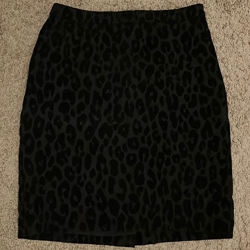 Ann Taylor skirt